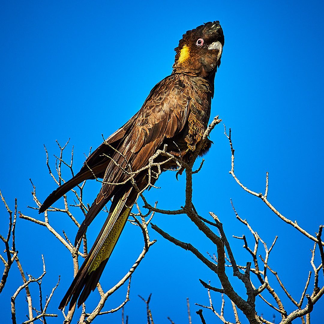 Click to enlarge the photograph Photo 197 from Igor Maric's photography collection