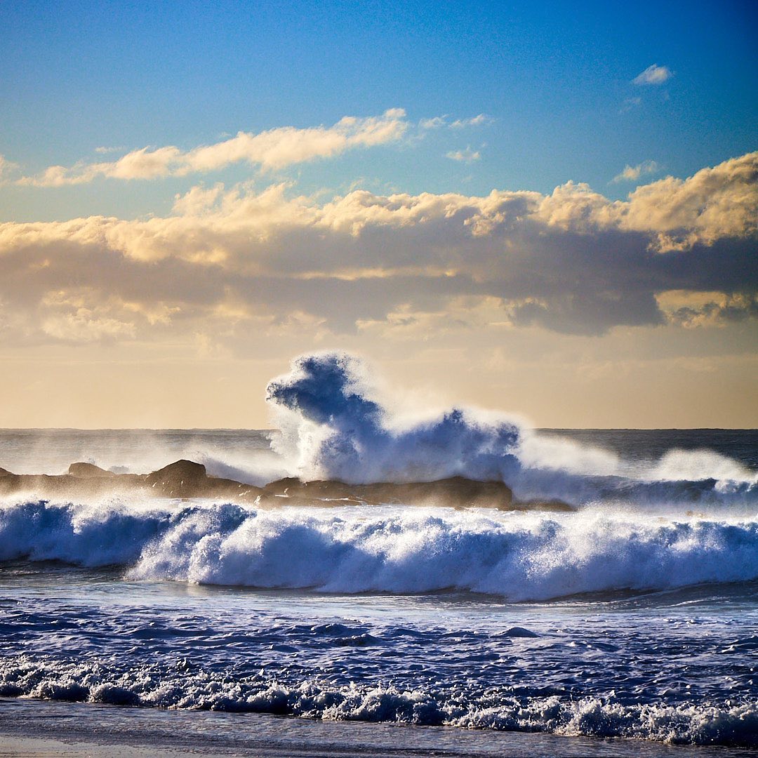 Click to enlarge the photograph Photo 196 from Igor Maric's photography collection