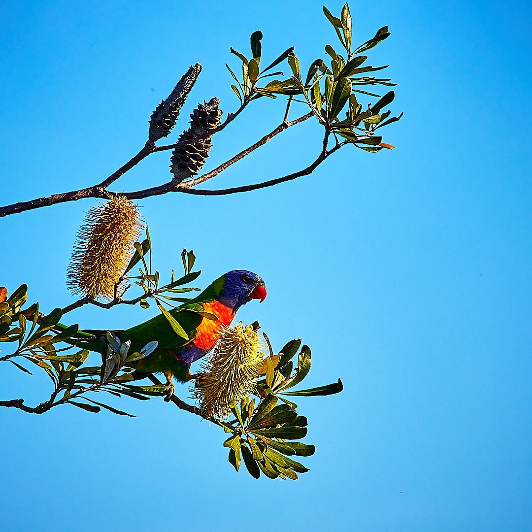 Click to enlarge the photograph Photo 187 from Igor Maric's photography collection