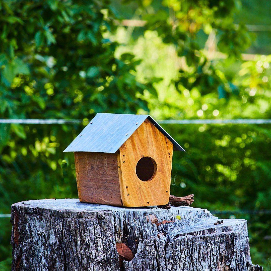 Click to enlarge the photograph Photo 171 from Igor Maric's photography collection