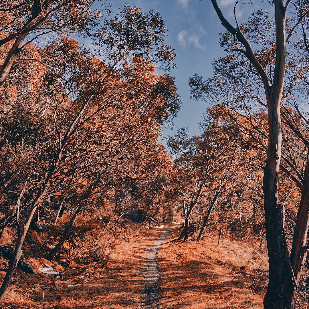 Click to enlarge the photograph Photo 161 from Igor Maric's photography collection