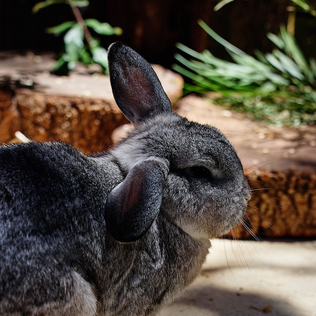 Click to enlarge the photograph Photo 128 from Igor Maric's photography collection