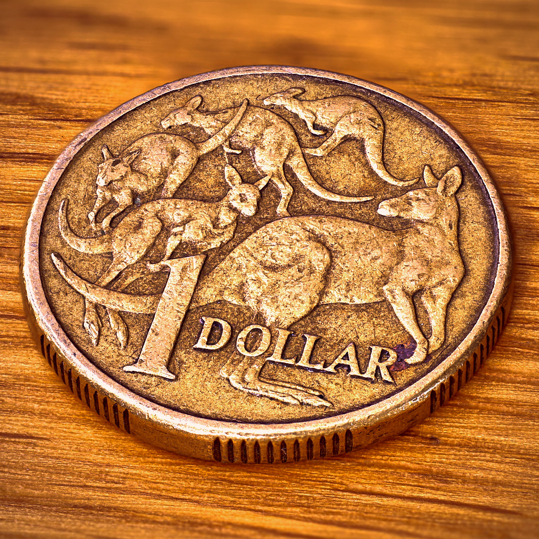 Click to enlarge the photograph Photo 95 from Igor Maric's photography collection