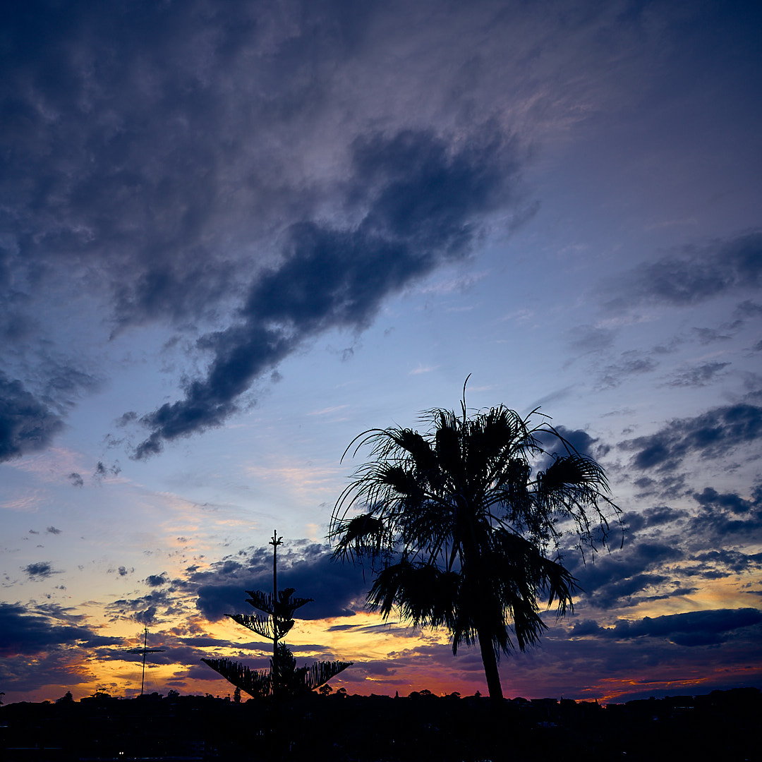 Click to enlarge the photograph Photo 90 from Igor Maric's photography collection