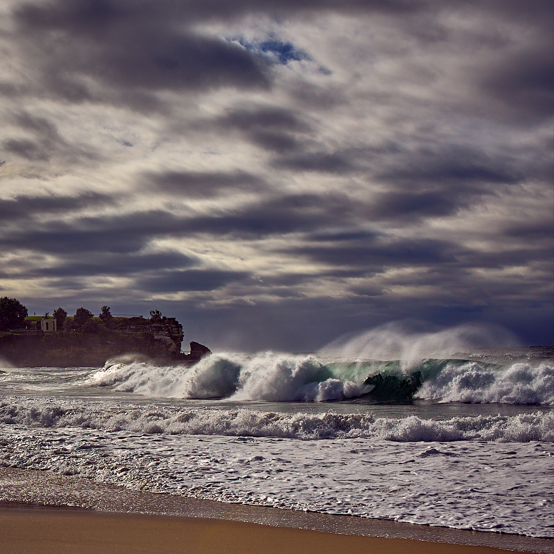 Click to enlarge the photograph Photo 80 from Igor Maric's photography collection