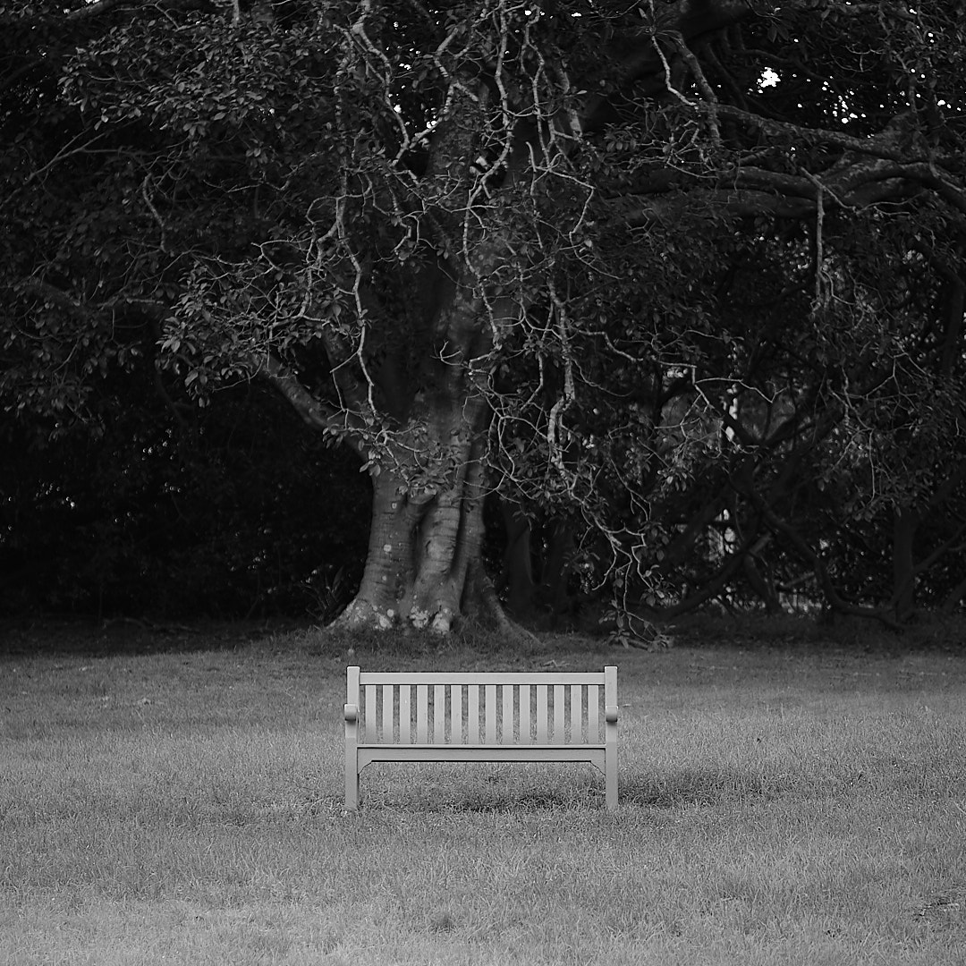 Click to enlarge the photograph Photo 70 from Igor Maric's photography collection