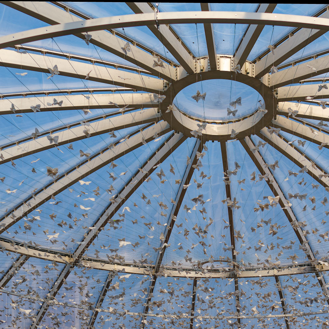 Click to enlarge the photograph Photo 31 from Igor Maric's photography collection